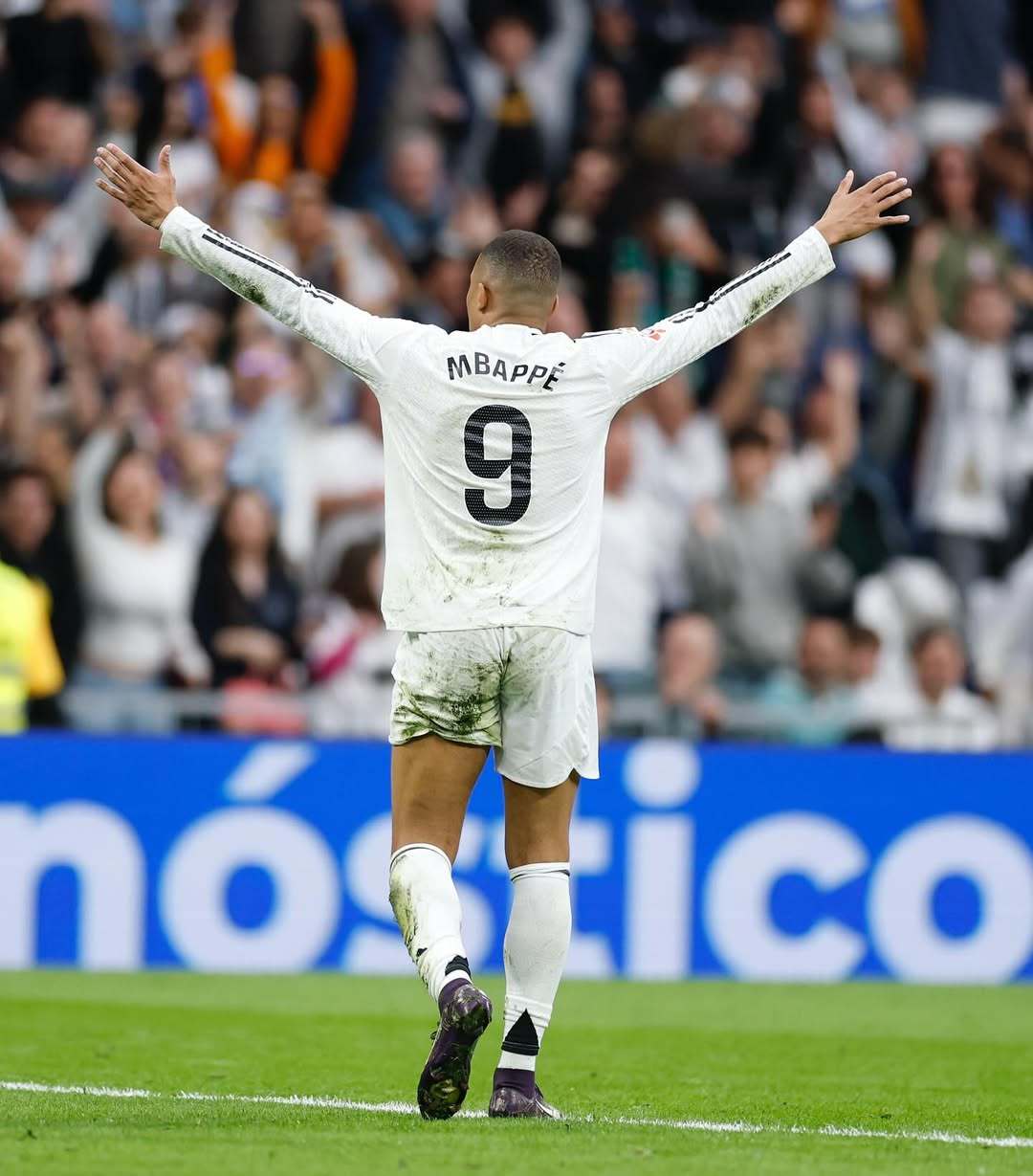 动表现数据 动表现数据